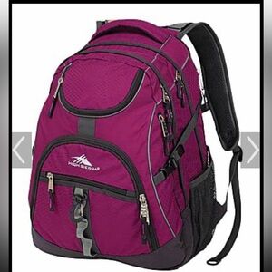 High Sierra Access Laptop Backpack